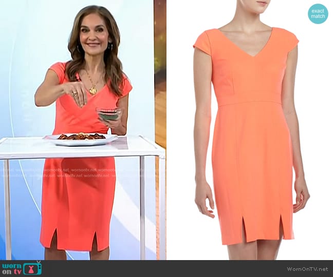 Marc New York by Andrew Marc  V-Neck Orange Dress worn by Joy Bauer on Today