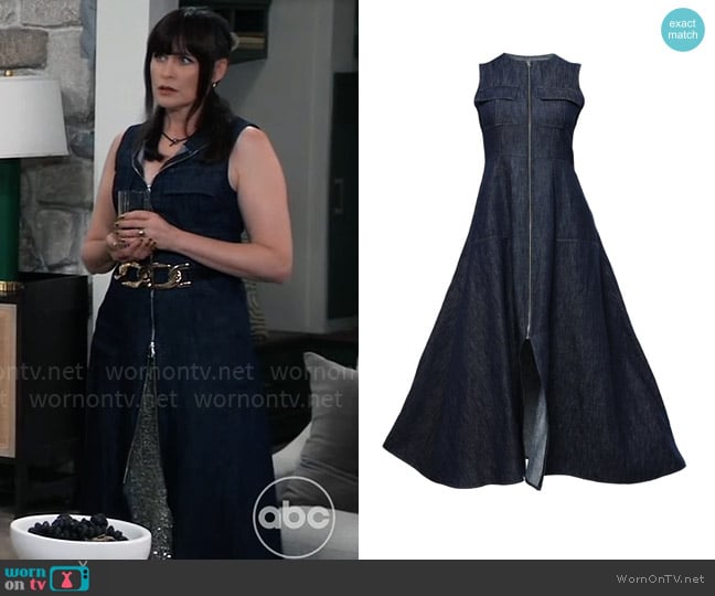 Metamorphoza Long Dress with Front Zipper worn by Lois Cerullo (Rena Sofer) on General Hospital