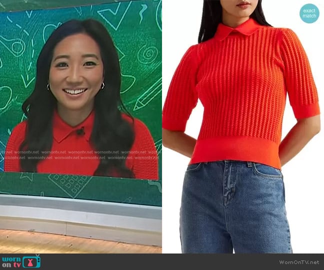 Ted Baker Morliee Crop Sweater worn by Kathy Park on Today