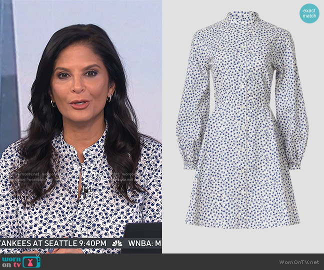 Polo Ralph Lauren Floral Dress in Blue worn by Darlene Rodriguez on Today