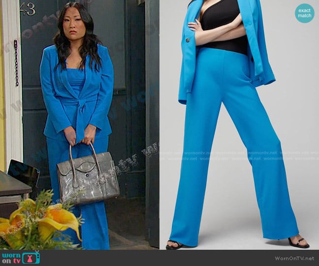 White House Black Market Slip On Wide Leg Pant In Isla worn by Melinda Trask (Tina Huang) on Days of our Lives