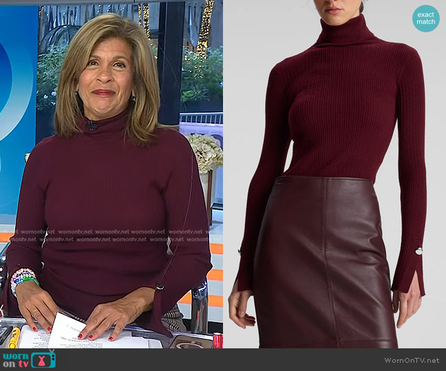 A.L.C. Jett Top in Burgundy worn by Hoda Kotb on Today