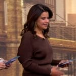 Ana’s brown knit sweater and skirt on The View