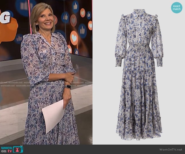 MISA Los Angeles Aydeniz Maxi Dress in Cerulean Flora worn by Kate Snow on NBC News Daily