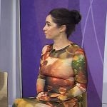 Cristin Milioti’s abstract print mesh dress on Today