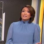 Elaine Quijano’s sheer blue blouse on CBS Mornings