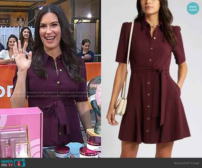 Eliza J Puff Sleeve Shirtdress in Wine worn by Stephanie Mansour on Today