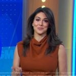 Erielle’s brown cowl neck dress on Good Morning America