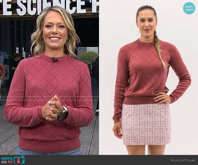 WornOnTV: Dylan’s pink diamond knit sweater on Today | Dylan Dreyer ...