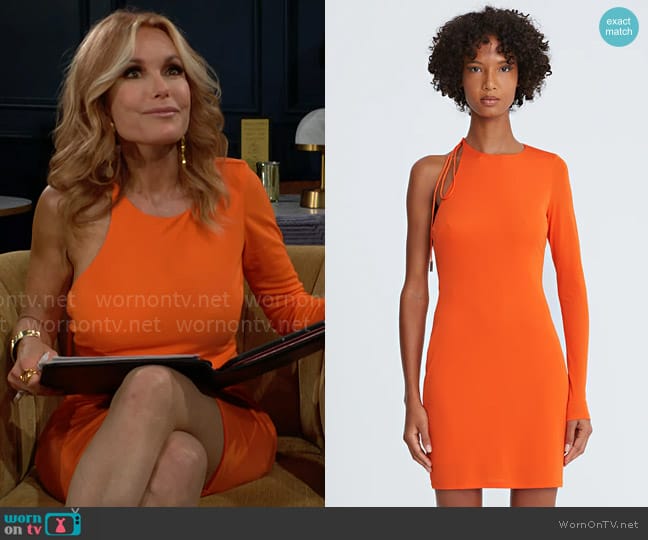 Halston Kayleigh Dress worn by Lauren Fenmore (Tracey Bregman) on The Young and the Restless