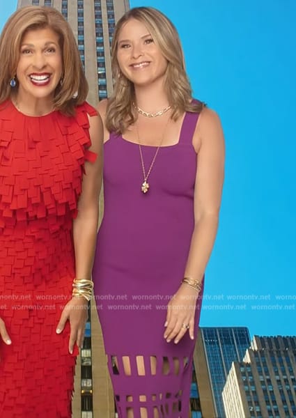 Jenna's purple opening scene dress on Today