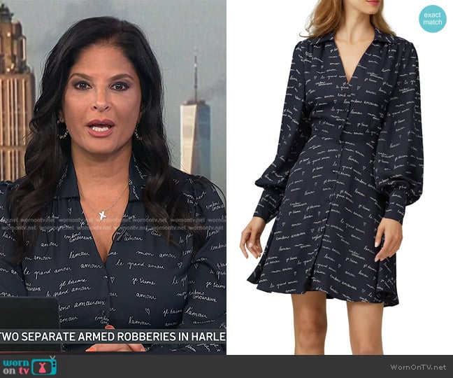 Joie Avali Dress worn by Darlene Rodriguez on Today