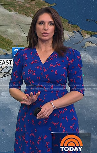 Maria's blue floral v-neck dress on Today