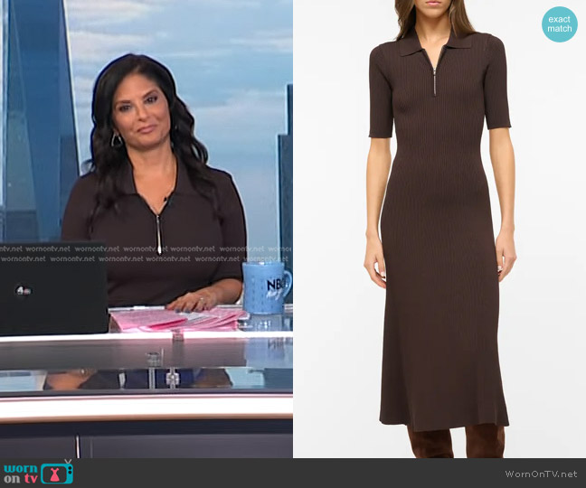 Staud Roland Dress in Earth worn by Darlene Rodriguez on Today