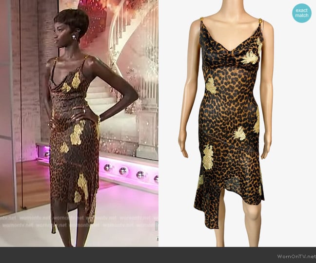 Christian Dior Runway Logo Leopard Sheer Lace Dress worn by Anok Yai on Sherri