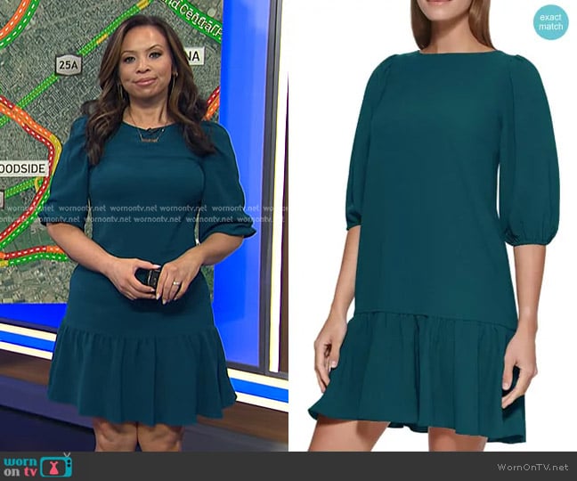 DKNY Drop Waist Shift Dress worn by Adelle Caballero on Today