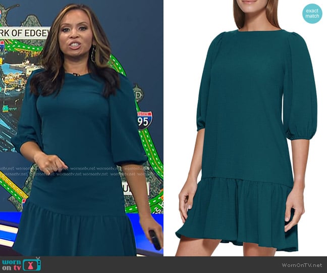 DKNY Drop Waist Shift Dress worn by Adelle Caballero on Today