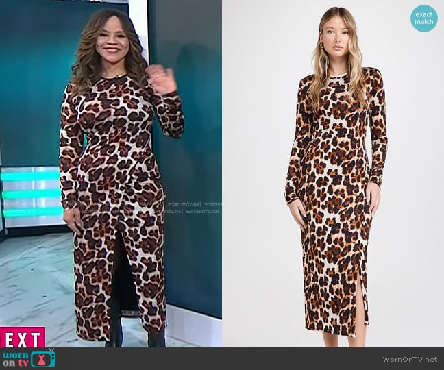 Le Superbe Panthera Extra Kate Dress in Panthera worn by Rosie Perez on Today