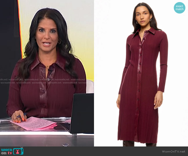 Toccin x RTR Variegated Rib Knit Leather Combo Dress worn by Darlene Rodriguez on Today