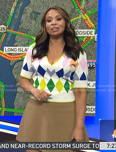 Adelle’s argyle knit short sleeve sweater on Today