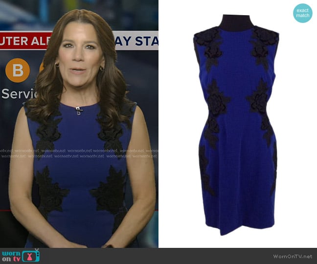 Tahari Floral Embroidered Dress worn by Heather O’Rourke on Good Morning America