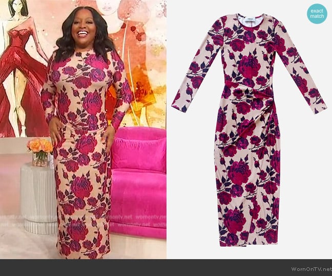 Arias New York Draped Pencil Dress worn by Sherri Shepherd on Sherri