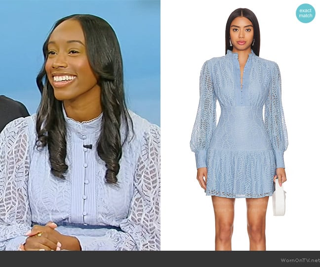 Bardot Remy Mini Dress worn by Imani Menard on Tamron Hall Show