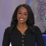 Brittany's black striped polo dress on Good Morning America