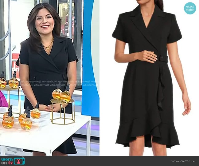 Calvin Klein Notch Lapel Knee Length Wrap Dress worn by Adrianna Barrionuevo Brach on Today