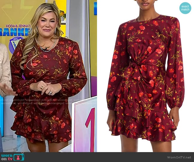 Cinq a Sept Alice Dress in Rhubarb Multi worn by Heather McMahan on Today