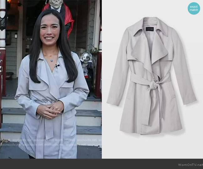 WornOnTV Emilie s grey trench coat Emilie Ikeda Clothes and Wardrobe from TV