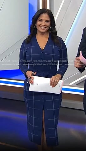 Darlene's blue windowpane dress on Today