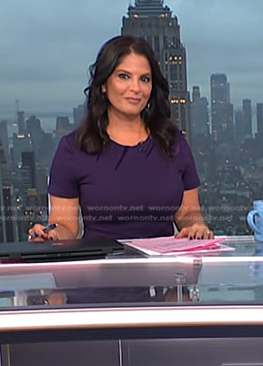 Darlene's purple velvet inset dress on Today