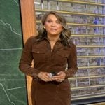 Ginger’s brown shirtdress on Good Morning America