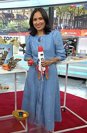 Grace Bastidas's blue puff sleeve denim dress on Today