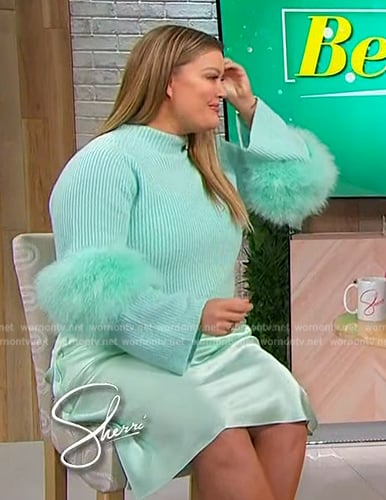 Jamie's mint feather trim sweater on Sherri