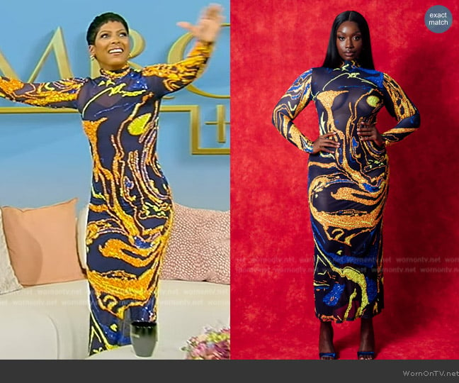 Kai Embellished Gaia Long Sleeve Printed Mesh Dress worn by Tamron Hall on Tamron Hall Show