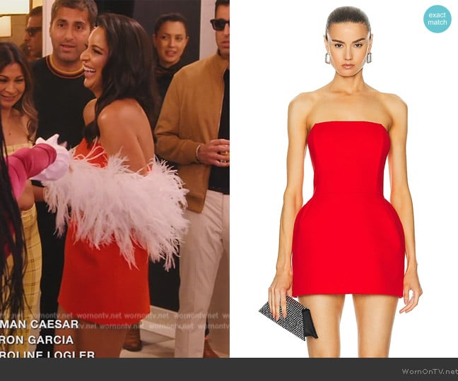 Magda Butrym Corset Mini Dress worn by Jessel Taank on The Real Housewives of New York City