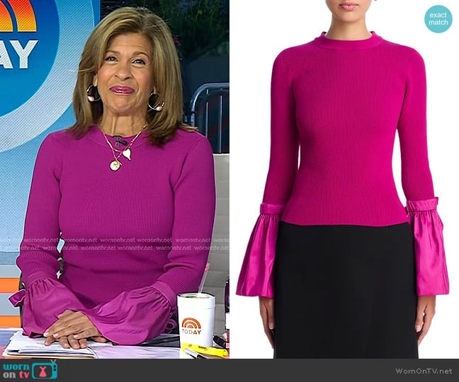 Simkhai Agata Long Sleeve Top in Magenta worn by Hoda Kotb on Today