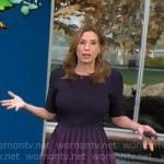 Stephanie Abrams’ navy dress with purple stripes on CBS Mornings