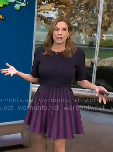 Stephanie Abrams' navy dress with purple stripes on CBS Mornings