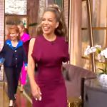 Sunny’s burgundy gathered dress on The View