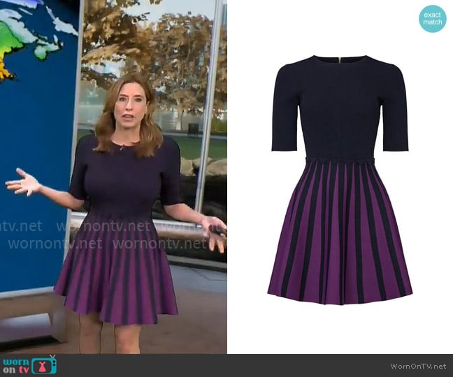 Ted Baker Saylee Dress worn by Stephanie Abrams on CBS Mornings