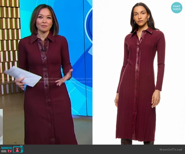 Toccin x RTR Variegated Rib Knit Leather Combo Dress worn by Eva Pilgrim on Good Morning America