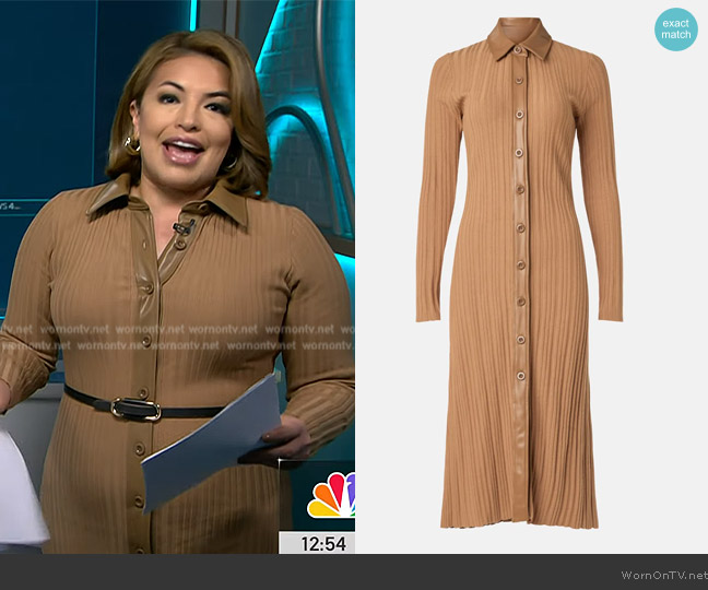 Toccin x RTR Camel Variegated Rib Knit Leather Combo Dress worn by Gilma Avalos on NBC News Daily