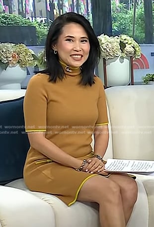 Vicky's brown turtleneck dress on Today