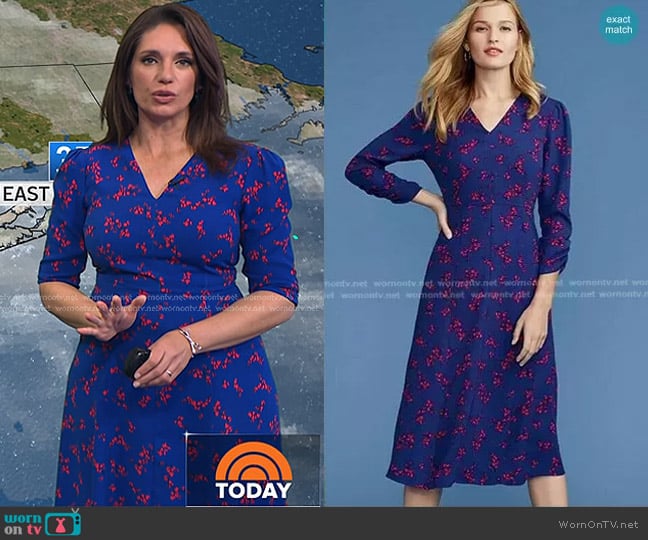 Ann Taylor Shadow Ruched Sleeve Midi Dress worn by Maria Larosa on Today