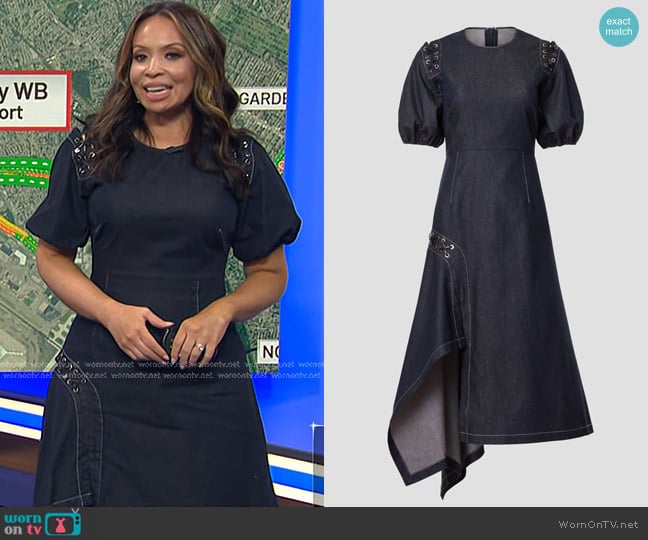 Bibhu Mohapatra Collective Puff Sleeve Midi Dress worn by Adelle Caballero on Today