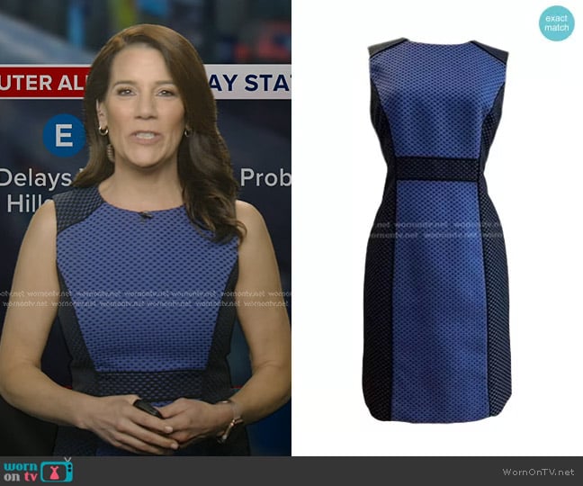 Tahari Colorblock Sheath Dress worn by Heather O’Rourke on Good Morning America