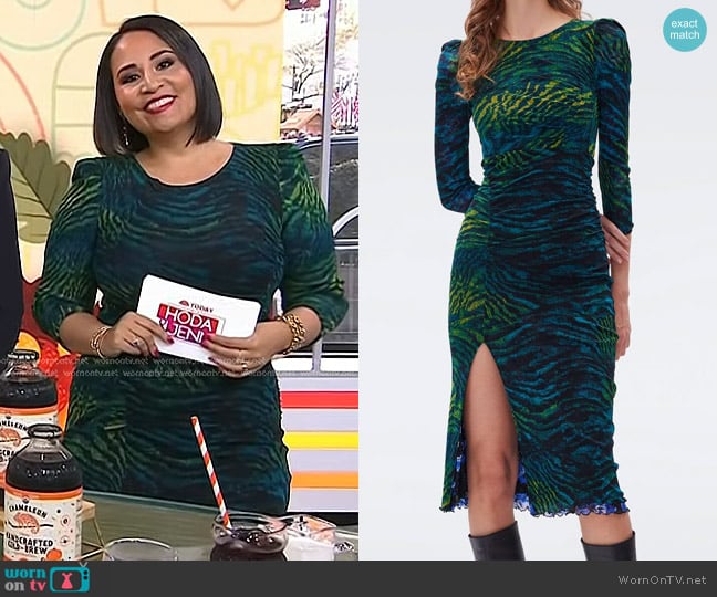 Diane von Furstenberg Priyanka Reversible Dress in Moire & Pansy worn by Alejandra Ramos on Today